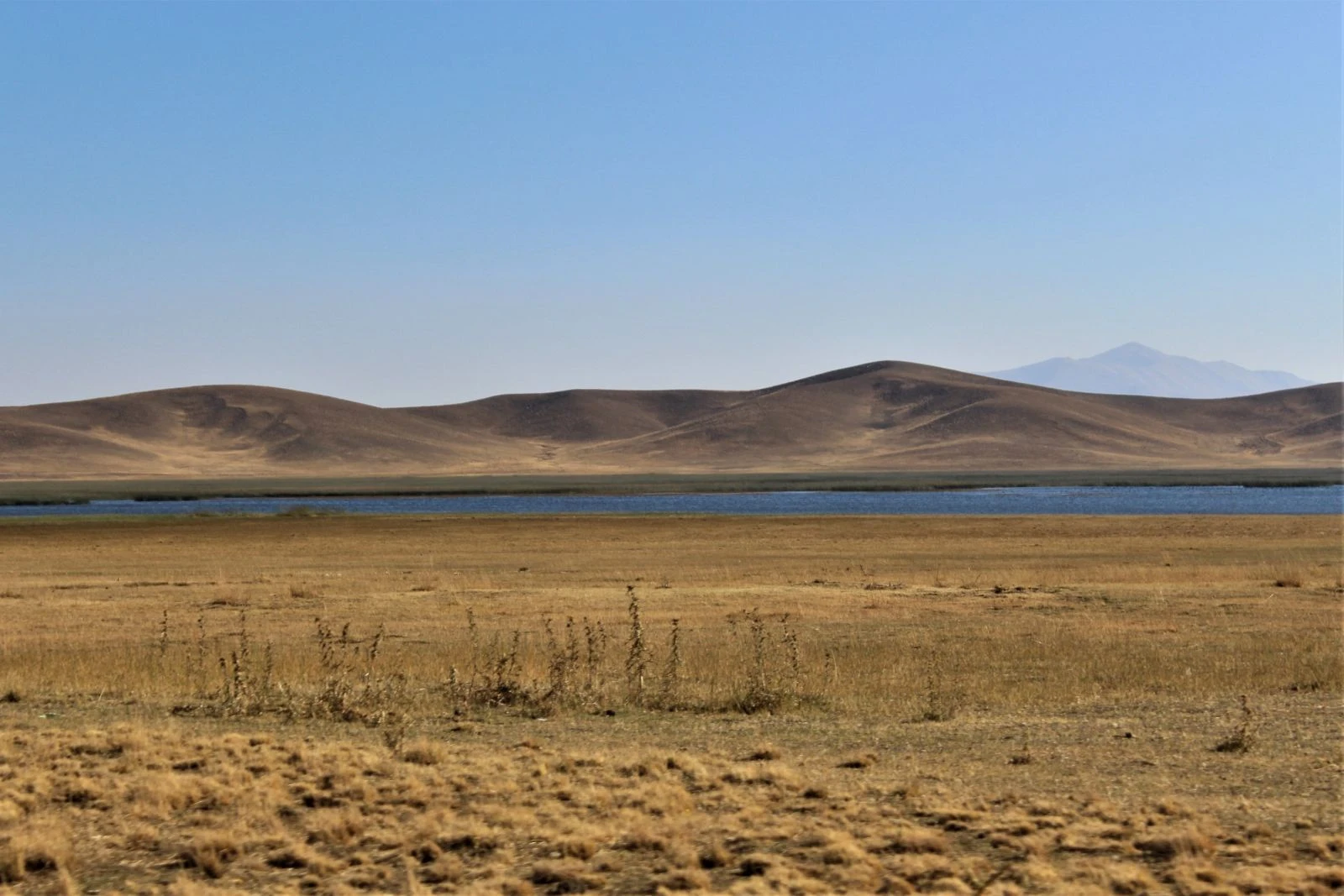 Dünyanın en eski göleti kısmen kurudu